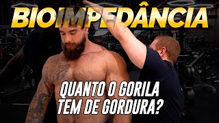 QUANTO O GORILA TEM DE GORDURA  FI LINARES FEZ A BIOIMPEDÂNCIA [upl. by Llenal]