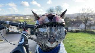 Bicycle CAT helmet [upl. by Dranreb]