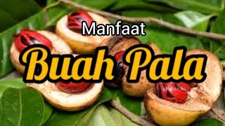 Khasiat Buah Pala untuk Kesehatan [upl. by Nesline257]