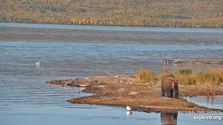 230 on the Spit  September 20 2024 exploreorg [upl. by Yarised104]