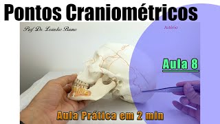 Pontos Craniométricos  Parte 8  Pratica  Anatomia Humana [upl. by Lohcin577]