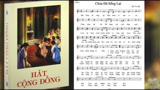 Thánh ca CHÚA ĐÃ SỐNG LẠI  Sáng tác Đỗ Vi Hạ  Thực hiện  Nguyễn Tuyết Mai [upl. by Enohs]