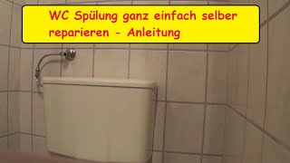 Toilettenspülung selber reparieren  WC Spühlkasten selbst entkalken  Toilettenspülkasten Anleitung [upl. by Milman]