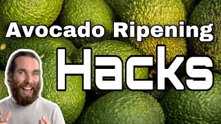 Avocado Ripening Hacks  Tips And Tricks For Getting The Perfectly Ripe Avocado [upl. by Oleta]