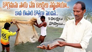 Murrel Fish Farming In Telugu  కోరమీను చేపల సాగు  Korameenu Fish Farming  Shiva Agri Clinic [upl. by Nylrac]