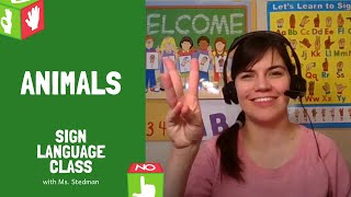 Animals  Sign Language Class with Ms Stedman [upl. by Drusilla]