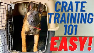 EASIEST CRATE TRAINING VIDEO EVER FIRST STEPS MUST SEE  Part 1  ANDY KRUEGER [upl. by Eedolem]