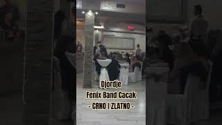 Menadzer 0653718370 Djordje amp Fenix Band Cacak Bendovi Za Svadbe Bajina Basta orkestar [upl. by Veradia]