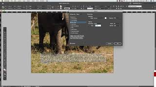 Outer glow effect in indesign tutorial adobesoftware adobedesign [upl. by Vitalis]