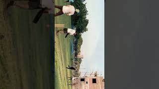 Grass pitch cricket 🔥i10 Ball🖤 cricket cricketlover trending reels shots viralreels [upl. by Acinoev]