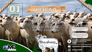 LEILÃO AO VIVO DA LEILOFORTE QUIRINÓPOLISGO [upl. by Attalanta]