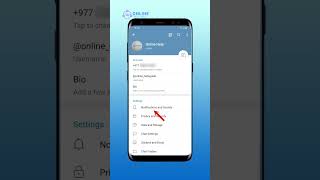 How to Change Ringtone on Telegram  Telegram Guide [upl. by Naitsyrk170]