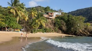 Seascape Castara Tobago [upl. by Oirogerg]