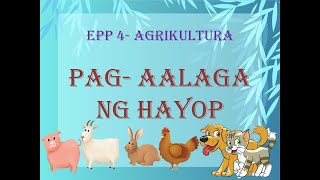 EPP4 AGRIKULTURA PAG AALAGA NG HAYOP [upl. by Ardnuat]