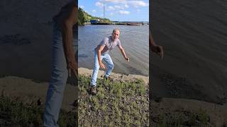 Samphire salicornia europaea foraging herbs adventure nature explore estuary mud food [upl. by Vaientina]