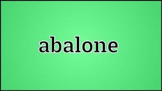 What Abalone Means [upl. by Lipcombe]