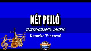 🎹🎤 Delta  Két Pejló INSTRUMENTkaraoke dalszöveggel [upl. by Skelton995]