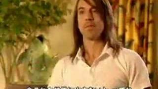 Anthony Kiedis Interview Red Hot Chili Peppers [upl. by Nairehs947]