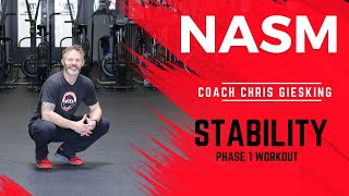 NASM Stability Workout [upl. by Orenid]