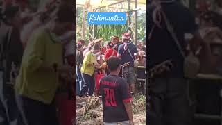 Tradisi adat suku Dayak Kalimantan [upl. by Attelliw]