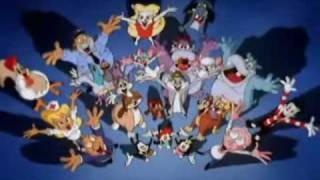 animaniacs intro completo [upl. by Gothard]