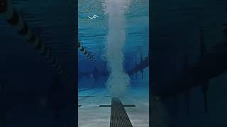 Connor Oslin Backstroke Start [upl. by Yamauchi255]