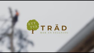 Trädfällning i Uppsala med omnejd från 12 Träd [upl. by Chaddie]