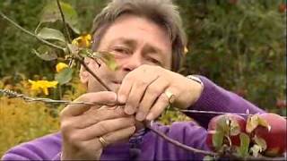 Alan Titchmarsh  Growing fruit [upl. by Jaban61]