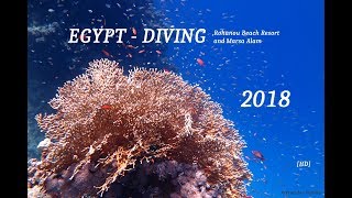 EGYPT  Rohanou Beach Resort and Marsa Alam  DIVING 2018 HD [upl. by Nimar]