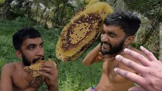 අතින් මී වදයක් කඩමුද මචං  brave Millionaire Harvesting Honey Beehive by Hands  Veddaa [upl. by Demetria457]