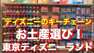 【TDL】ディズニーランドのキーチェーン紹介！行く前にこれでお土産チェック★ワールドバザールのディズニーampカンパニー [upl. by Cavanaugh]