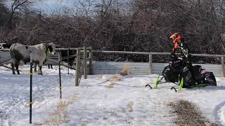 Tucker Hibbert returns to the Teton Valley [upl. by Harbert]