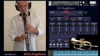 AKAI EWI4000s and VG Flugelhorn sound library for NI Kontakt Brass vst plugin wav [upl. by Barbur151]