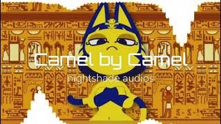 CAMEL BY CAMEL AUDIO EDIT [upl. by Whelan]