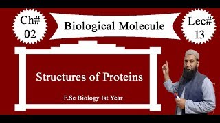 Biology Ch02Lecture13 Structures of proteins FSc 1st Year [upl. by Rivard]