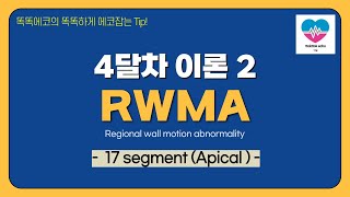 RWMA 17 segment Apical RWMA echocardiography 심장초음파 TTE sonography rdcs segment [upl. by Ydnir]