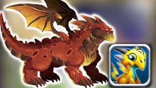 How to get Meteor Dragon 100 Real Dragon City wbangcaHD Christmas Dragon [upl. by Anahsohs]