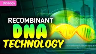 RECOMBINANT DNA TECHNOLOGY  3D ANIMATION  PWNEETWallah [upl. by Gilly]