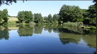 Alders Farm Fishery  Maggotdrowners pairs Match  Summer 2024 [upl. by Tobie805]