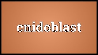 Cnidoblast Meaning [upl. by Ezana]