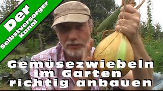 Gemüsezwiebeln im Garten richtig anbauen [upl. by Pillsbury813]