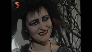 Siouxsie Sioux 1980s Interviews  part 1 [upl. by Ber]