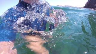 Costa Rica  Snorkeling off Playas del Coco [upl. by Nwahsem]