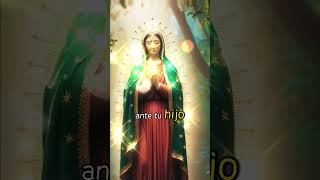 virgendeguadalupe amor fe oración a la virgen de Guadalupe [upl. by Noiemad]