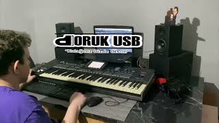 KORG Pa3x Yeni Doruk USB PLUS SET Vahde korg new set dorukusb [upl. by Walton]