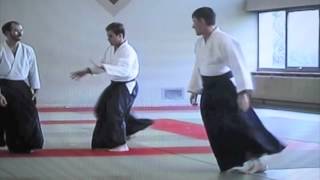 Aikido 4th Dan Exam Part 2 [upl. by Cooley]