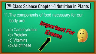 Nutrition in Plants Class 7 Chapter 1 MCQs  Class 7 science chapter 1 nutrition in plants [upl. by Ahsaret]