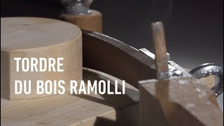 Tordre du bois ramolli [upl. by Zoes]