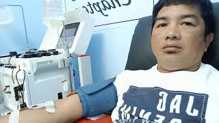 Apheresis Procedure [upl. by Noreg]