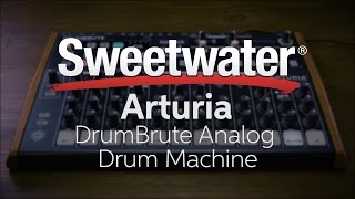 Arturia DrumBrute Analog Drum Machine Review [upl. by Ellenid]